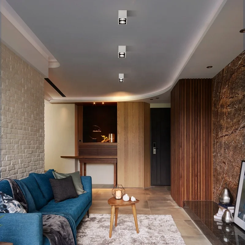 Потолочная лампа Puluoti с двойной головкой и регулируемым углом освещения для магазина одежды