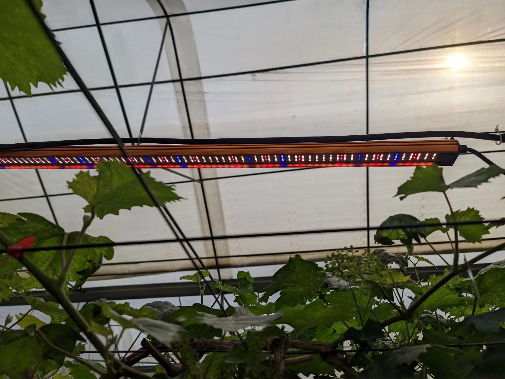 Wholesale best under canopy dimmable full spectrum flowering grow light led high power spectrum plant kits lamp led grow light