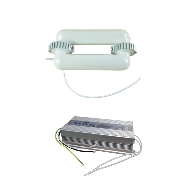 Made in China 40W -500W Magnetic Induction lamp and ballast
