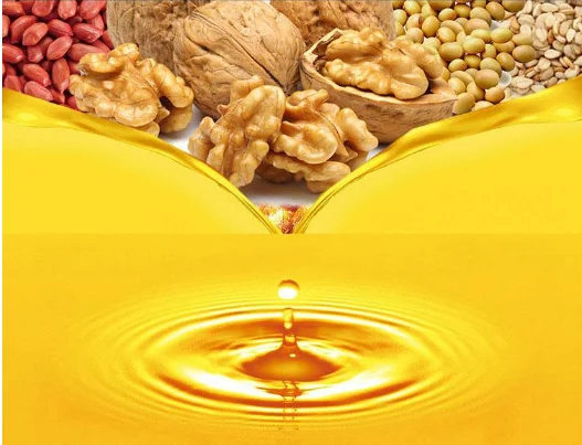 Cold and Hot Oil Extrusion Machine Automatic Screw Peanut Soybean Sesame Sunflower Oil Press Machine