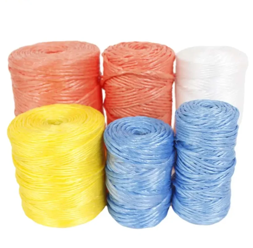 RIOOP Twisted PP Baler Twine 2mm 3mm 5mm New Raw Material Factory Price Binding Rope  Made In China Agriculture Package