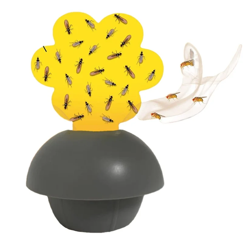 Indoor and outdoor use fruit fly trap