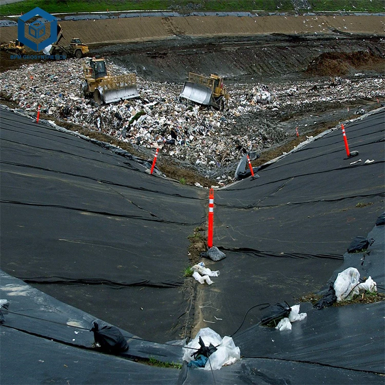 Impermeable Plastic 2mm HDPE Geomembrane Sheets Rolls Pond Liner for Landfill in South Africa