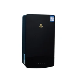 Combi Boiler Water Heater For Central Heating System And Shower