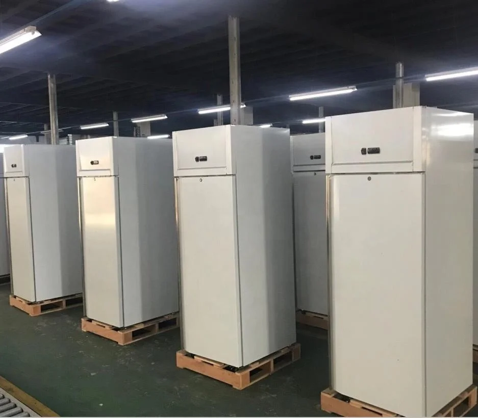 Profession Catering Refrigeration Equipment Single Door Kitchen Upright Freezer Stainless Steel Reach in Freezer