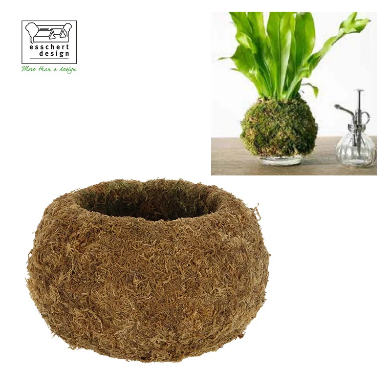 JP004 New Natural Color Moss Kokedama Ball Unique Small Flower Plant Pots for Indoor