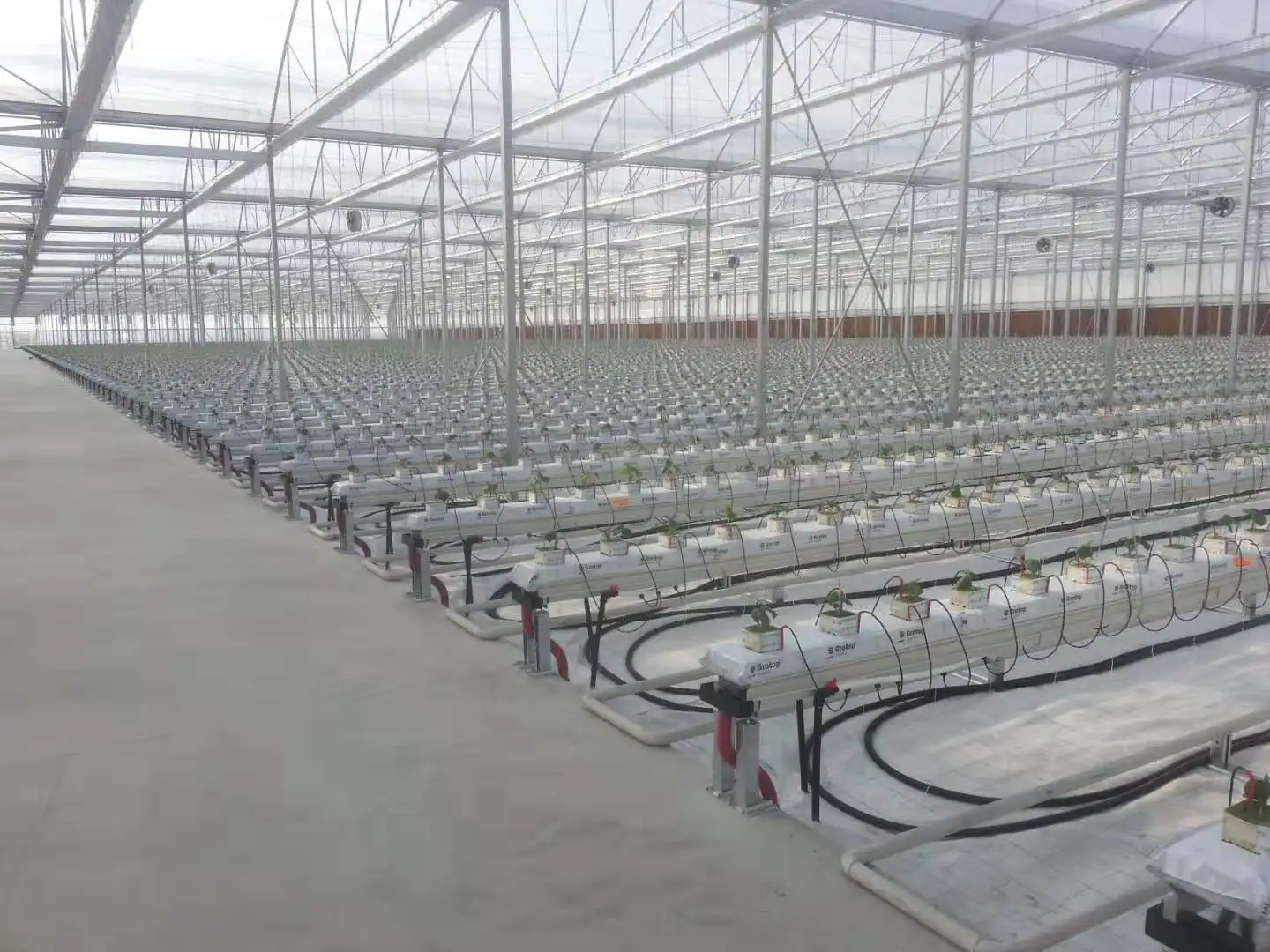 Growing tube container farms floating hydroponic rafts