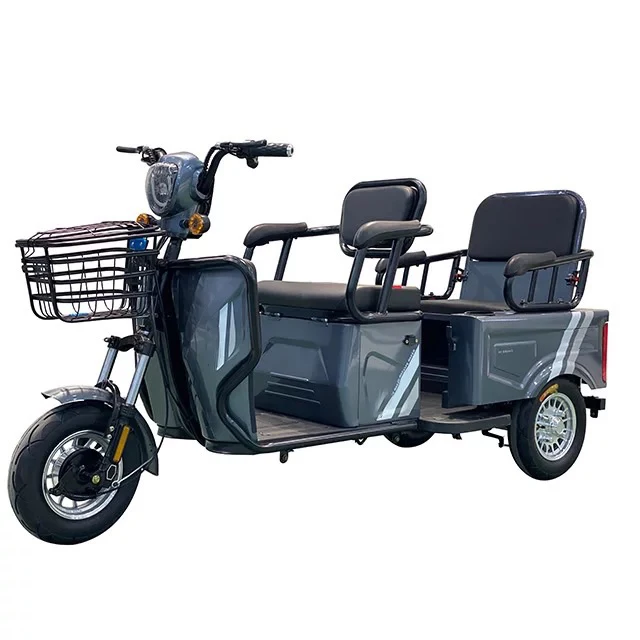 Hot Sell China Cheap Electric Tricycle Cargo Bike With Basket  Wheel Cargo Adults Tricycles