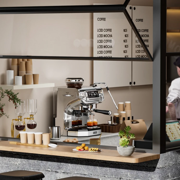 19 bars italian bump stainless steel coffee machine automatic espresso coffee maker built in