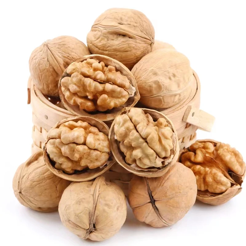Wholesale Lower Price Natural Organic Top Grade Walnut Kernels