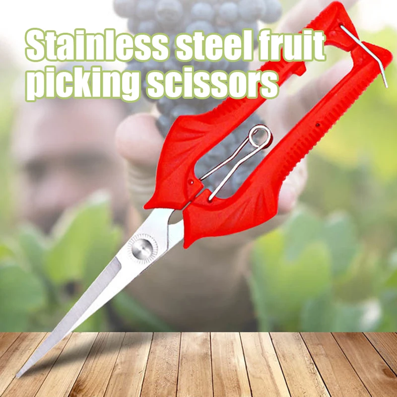 pruner garden scissors manual pruning shears branch pruning shears scissors for pruning flowers