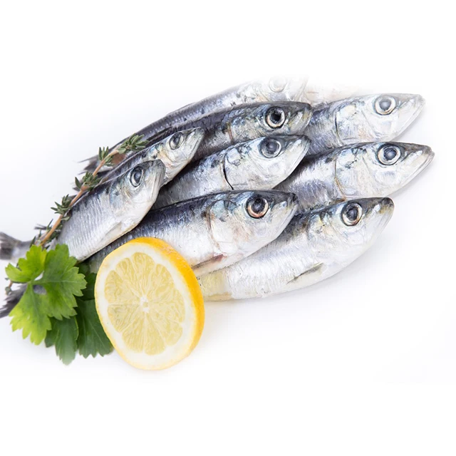 Замороженная рыба морепродукты новая посадка хорошее качество оптовая продажа замороженная Сардина