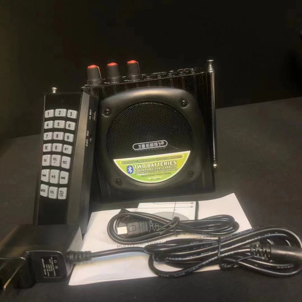 Daile amplifier AT100 with TF / FM radio / recording high power remote player outdoor loudspeaker