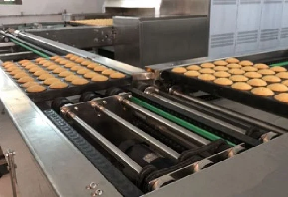 Transfer Conveyor for Cake Production Line