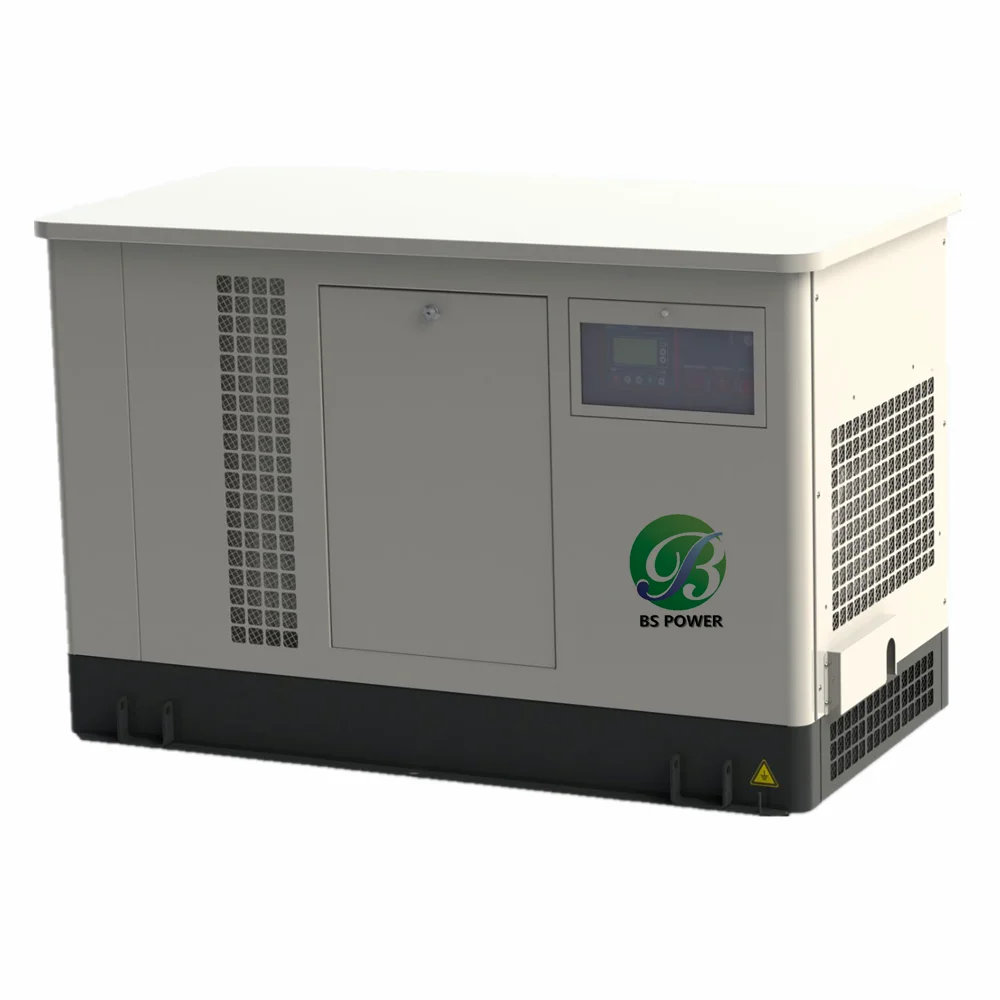 EPA Certified 60HZ Single Phase 15KVA Portable LPG Propane Gas Generator 18KVA 20 KVA Natural Gas Powered Generators
