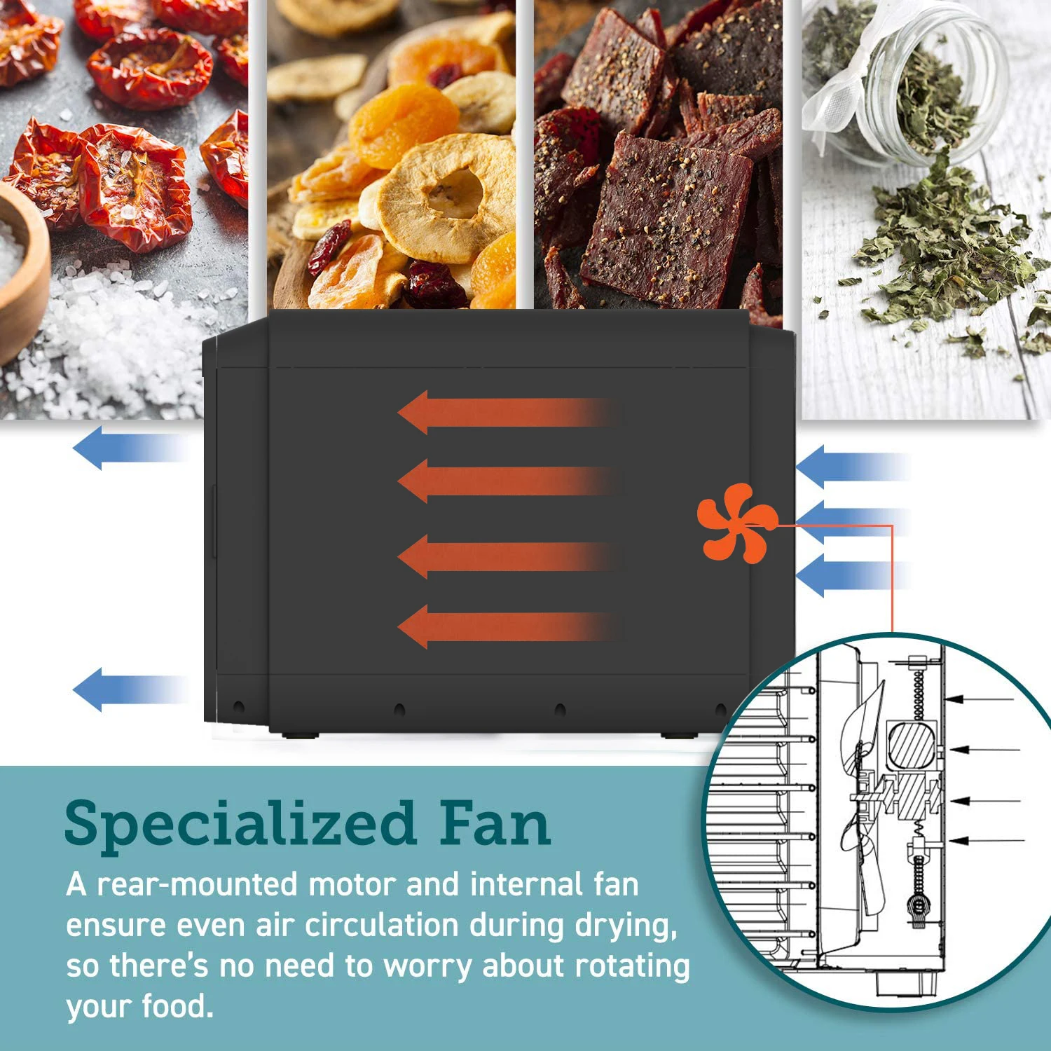 Household Kitchen Small Appliances Dehydrator Food Fruit And Vegetable Dryer