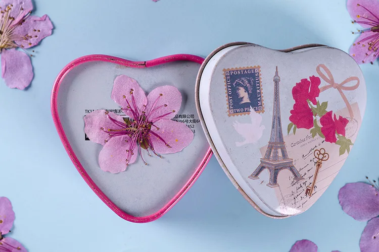 Peach Blossom Scrapbooking Epoxy Resin Natural Plant Eco-friendly Real Pressed Flower