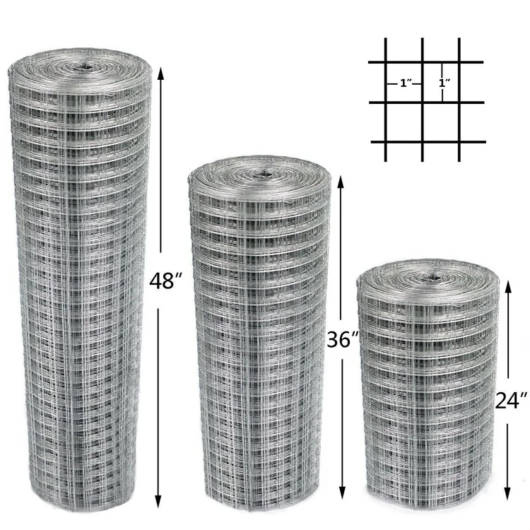 10 gauge pvc coated / galvanized bird cage welded wire mesh roll
