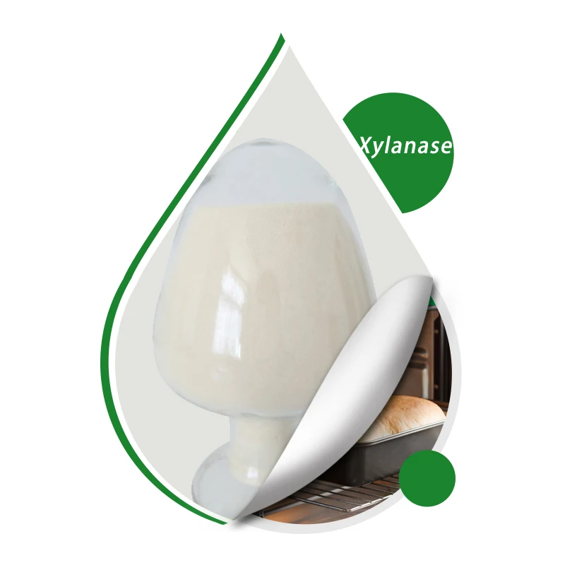 High Purity Xylanase Powder Xylanase Enzyme CAS 37278-89-0 White To Light Yellow Powder In Sale