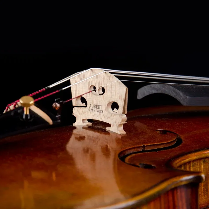 CHRISTINA Violin S600D Handmade Best Brand Grade Professional Performance With Case String Bow