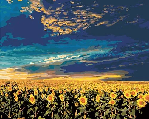 DIY Painting by Numbers Picture Wall Frame Sun flower  50x40cm(20x16inch)