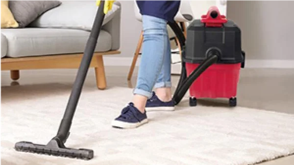 Roly wet and dry car cleaner household home using carpet extractor cleaning machine