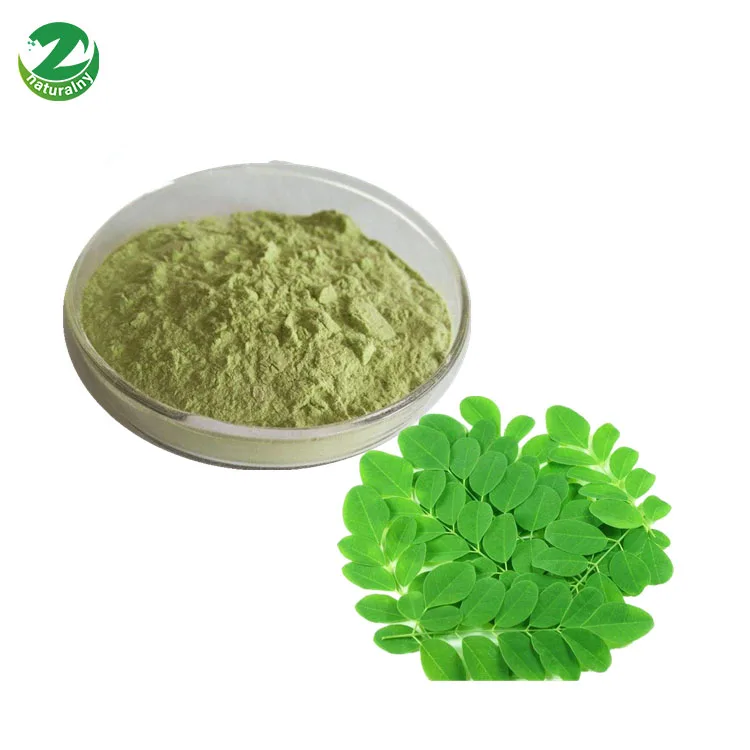 Hot Sale Pure Moringa Oleifera Seed Extract Best Price