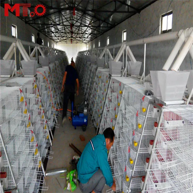 
 Высококачественная клетка может вместить 360 перепелов для птицефермы  
