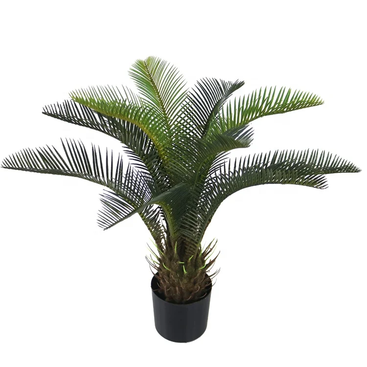 50cm tall plastic mini cycas revoluta tree artificial tree wholesale