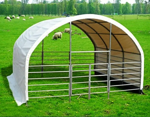 Premium Equine Shelter