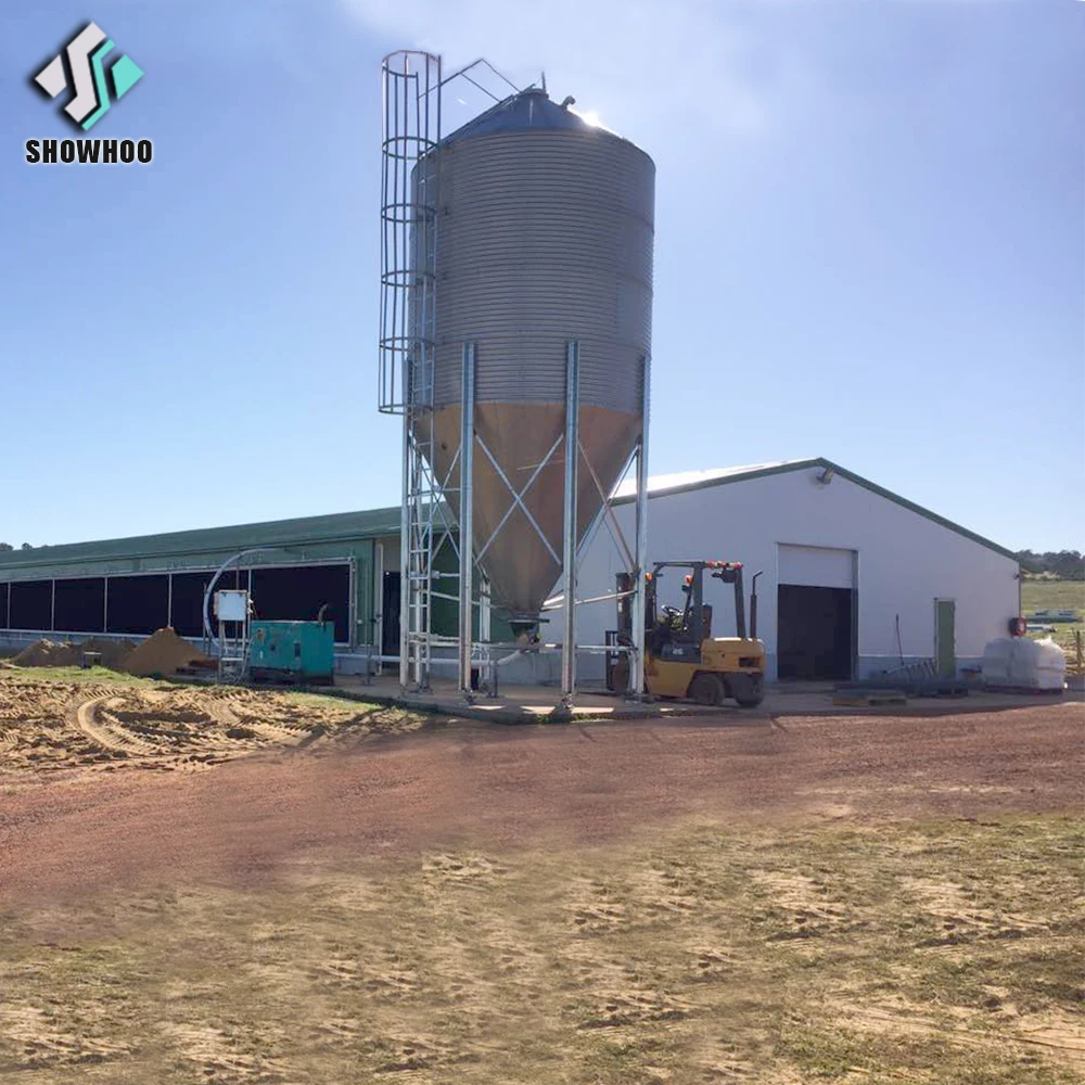 Directly Factory supplying egg layer poultry shed chicken farm house for 10000 chickens