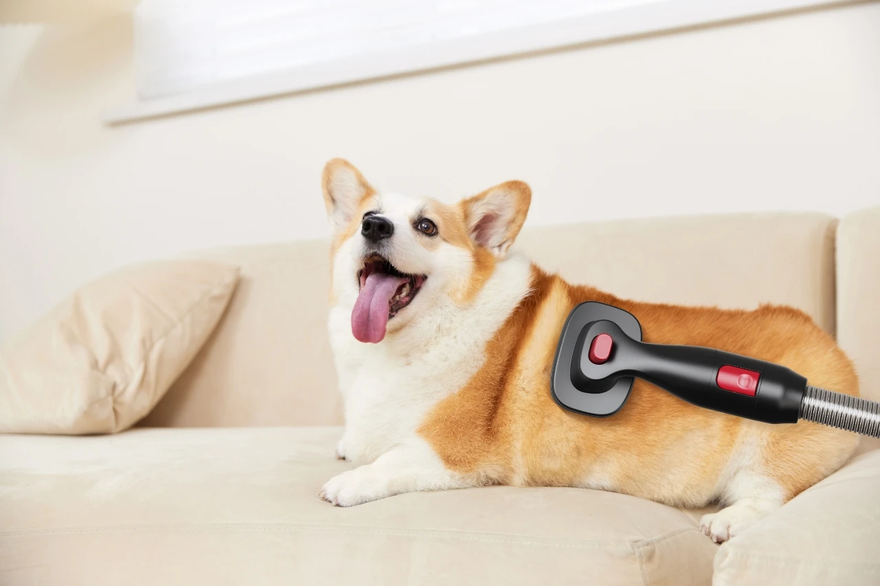 High Efficiency Stick Vacuum With 35min Long Runtime Detachable Battery 6 In 1 Lightweight Quiet Vacuum Cleaner