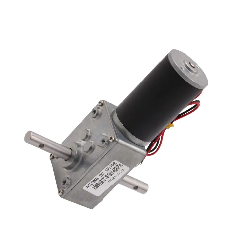 ASLONG 5840-31zy 12V24V High torque and high-power dual shaft with metal gearbox dual shaft high torque dual shaft motor worm