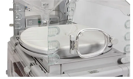Holotis  ICU Equipment Newborn Baby Puppy Incubator with Oxygen Price