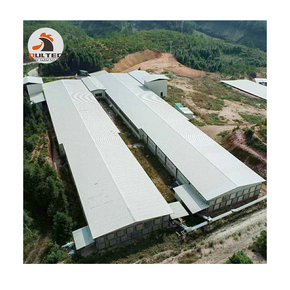 Многослойная клетка для яиц курицы птицефермы куриный сарай проектирование конструкции Бройлер домик стальная конструкция строительная