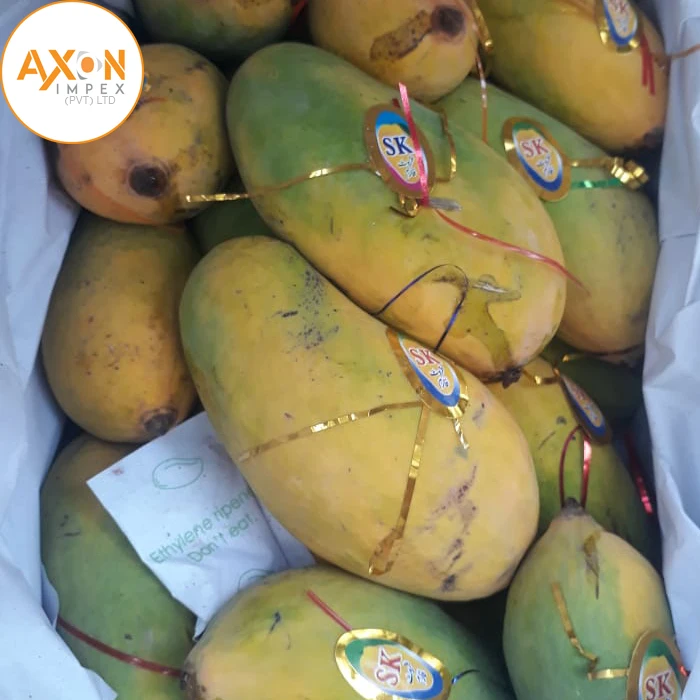 Best Chaunsa Mangoes From Pakistan At Low Price