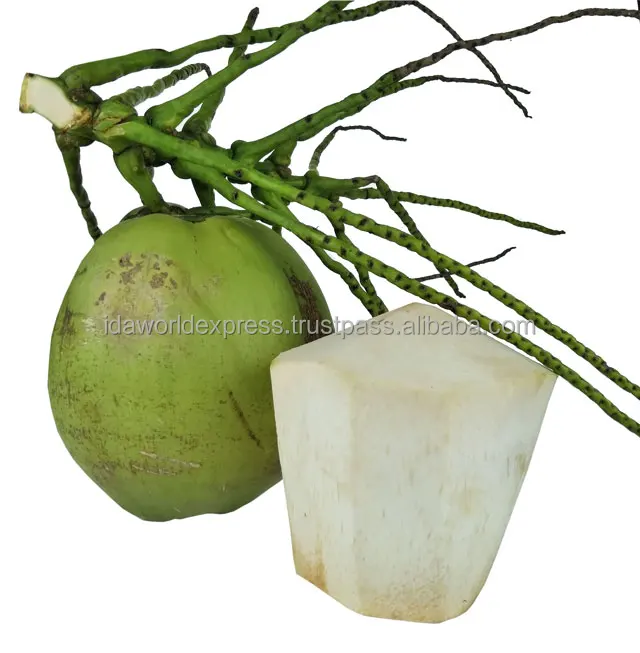
Fresh Young Coconut A Sweet Water Coconut We Alway Concentrate Fresh Young Coconut 
