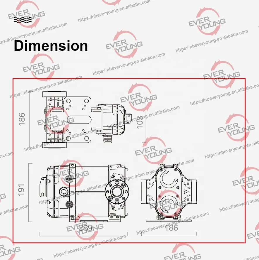 Diesel transfer pump 12V Diesel fuel pump with CE BIPUMP for fuel transfer