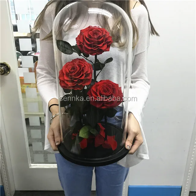 Three Big Preserved Flowers Roses in Glass dome Wedding Decoration