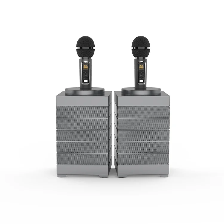 Горячая распродажа! Басов семья KTV 2-в-1 Портативный беспроводной динамик с двойной микрофон/динамик