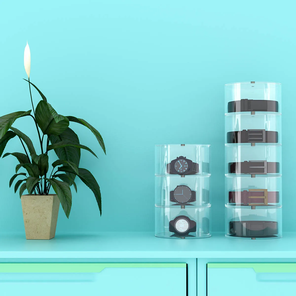 Acrylic Belt Case Storage Holder and Display for Accessories like Jewelry Watch Bracelets