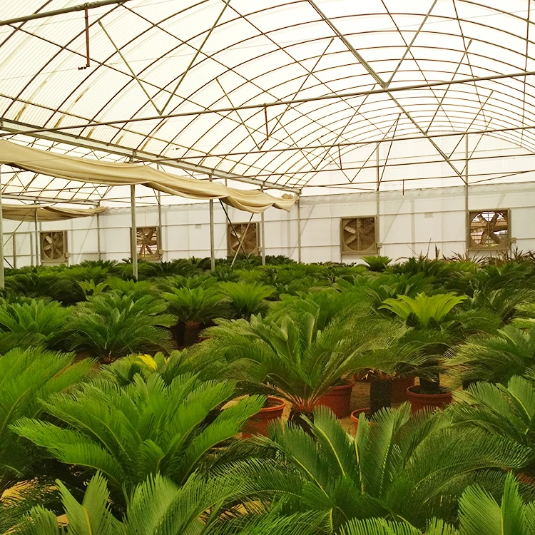 Продажа теплиц из поликарбоната с УФ-защитой