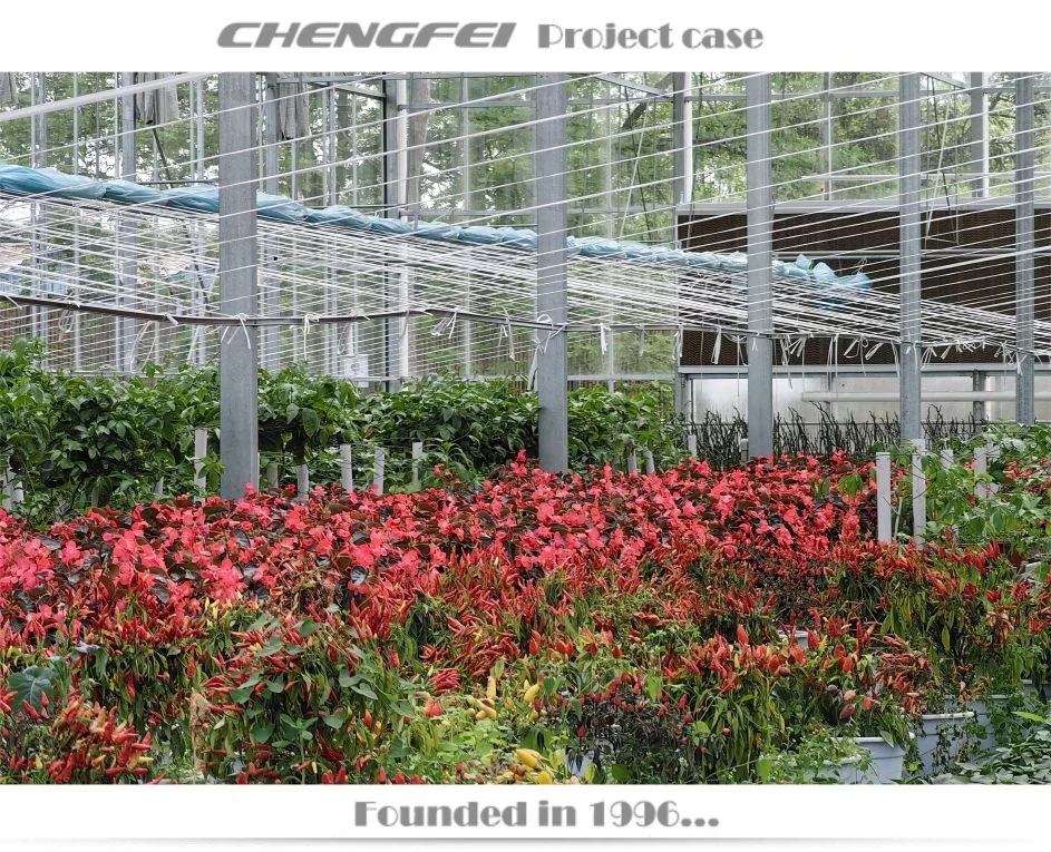 Multi-span agricultural venlo large flower vegetable glass agricultural greenhouse Frame supplier for sale