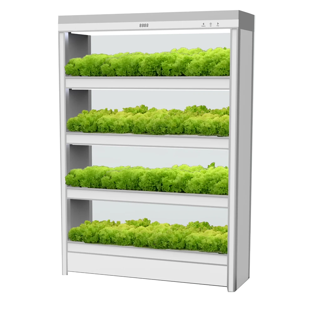 Smart Home System Time Control Aquaponics Growing Systems Hydroponic