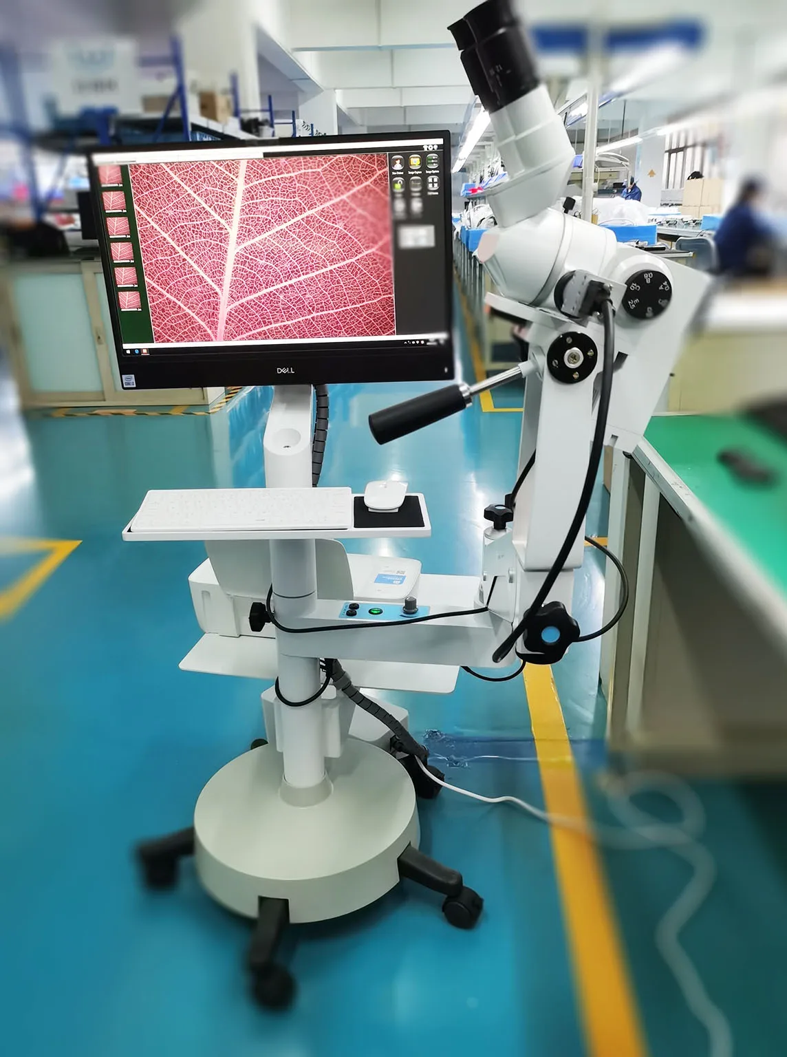Kernel KN-2200BII Optical Vaginal Colposcopy Machine Medical Device Gynaecology Video Optical Colposcope for Gynecology