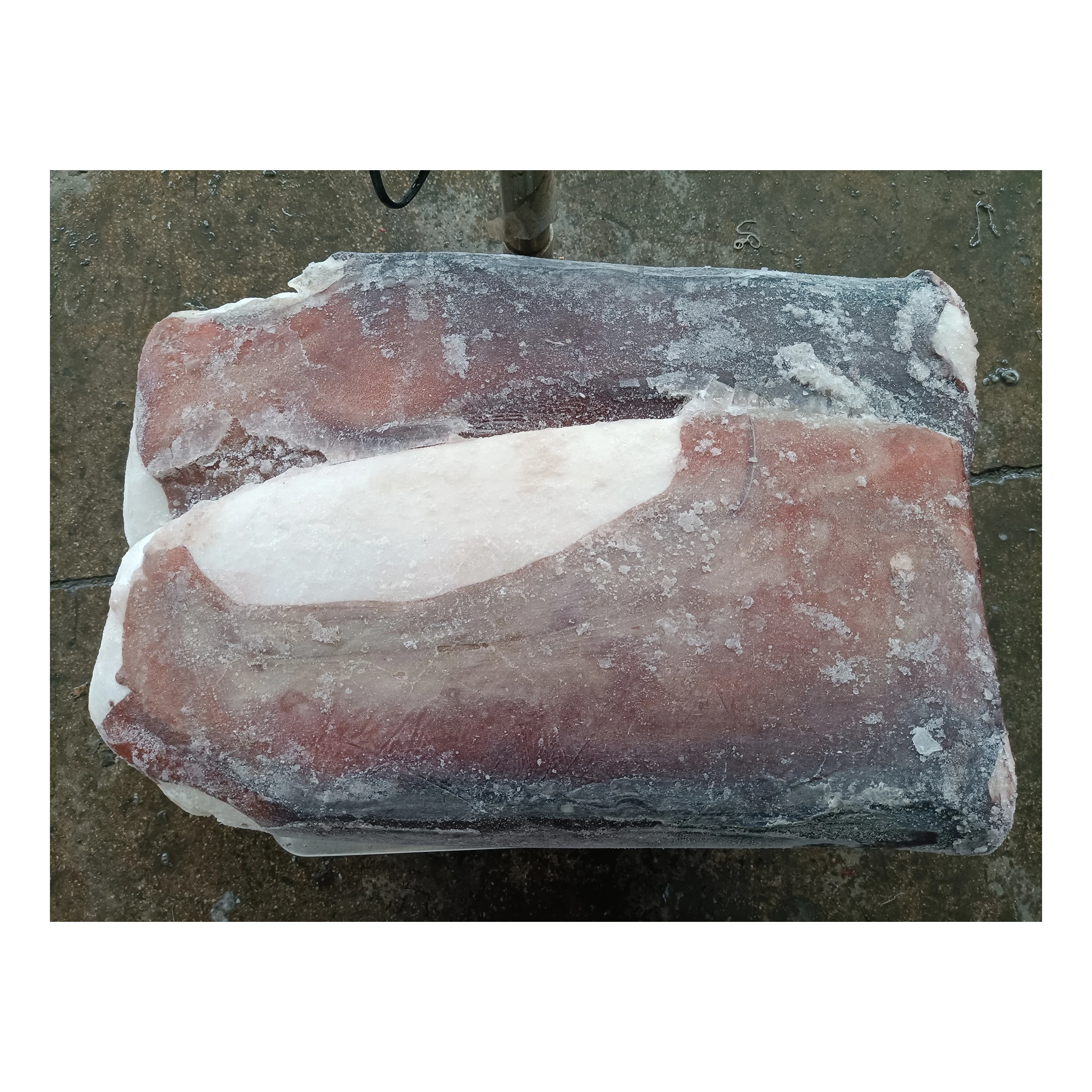 Новое поступление, замороженная гигантская кожа кальмаров на филе, гигантское мясо кальмаров, сырье, гигантское филе кальмаров