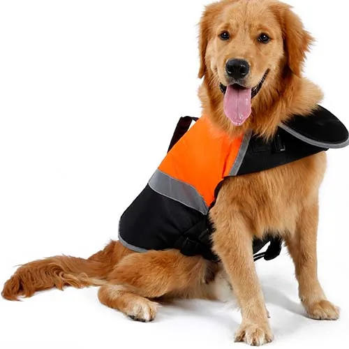 China Manufacturer Dog Life Jackets with Rescue Handle Good Quality Dog Lifevest