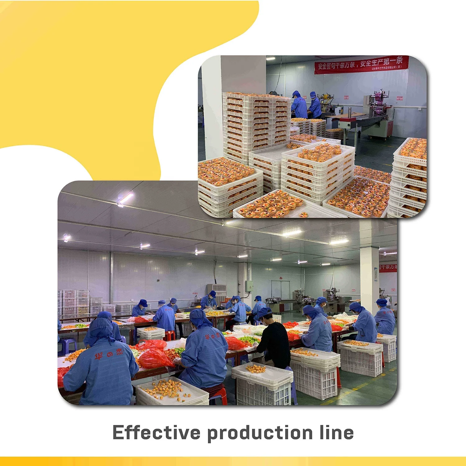 Hot selling fruit bubble gum roll chewing gum display box