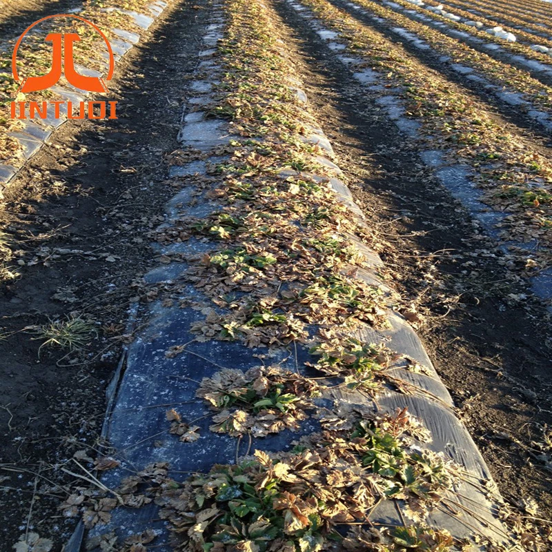 Professional custom production of high-quality agricultural biodegradable plastic film