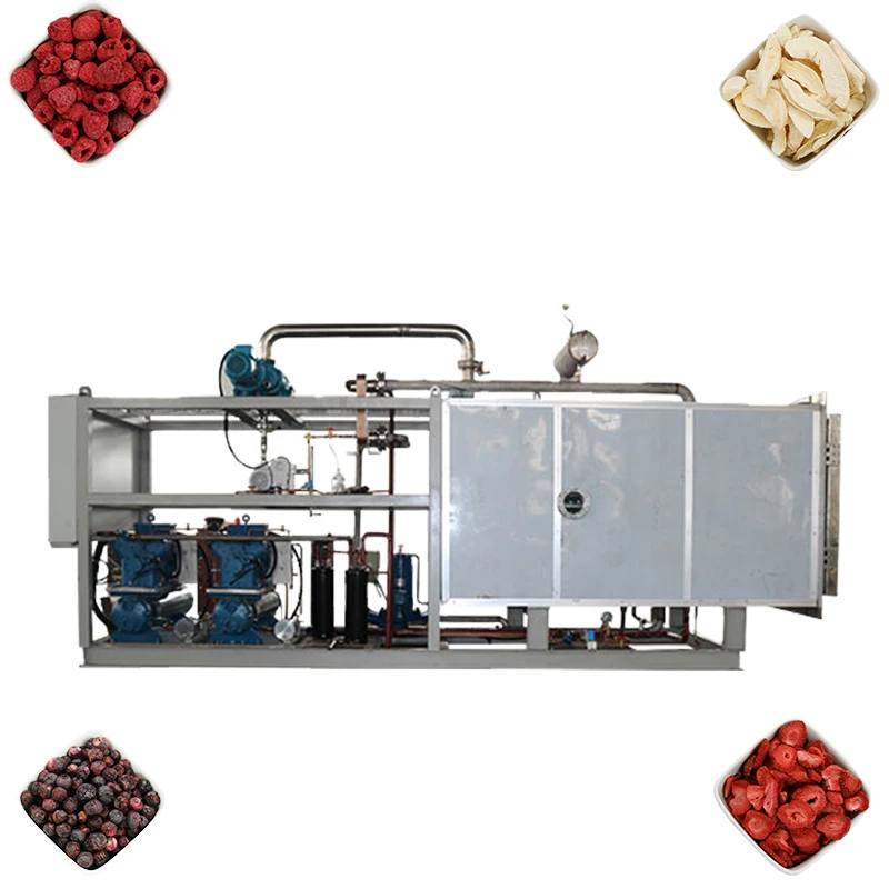 Manufactory Wholesale high working efficiency lyophilized in situ sublimation condensation home use freeze dryer